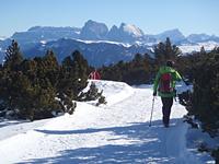 Winter hiking trails