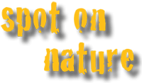 Logo spot on nature